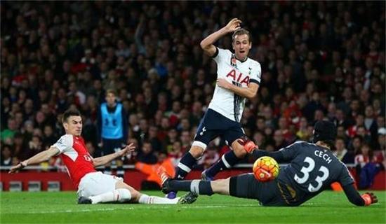 印度冰球的 印度冰球的